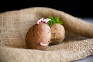 Spuds Under the Stairs: Personal Growth Story